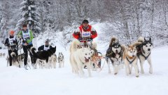 11_70_1274091691_935639_max