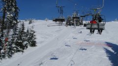 18_60_1295684714_487614_max