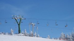 18_70_1295684715_360495_max