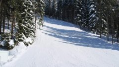 18_80_1295684716_201649_max