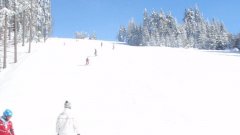 18_90_1295684717_924900_max