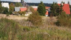 35_110_1318062908_767645_max