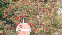 35_120_1318062909_991200_max