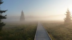 35_20_1318062706_440170_max