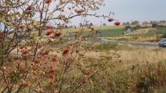 35_280_1318065706_978594_max