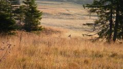 35_30_1318062706_343470_max