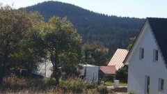 35_370_1318065874_982136_max