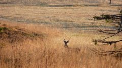 35_40_1318062706_675764_max