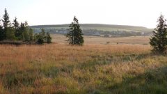 35_50_1318062707_100780_max