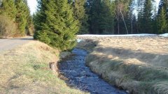 27_20_1302247625_748140_max