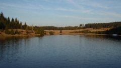 27_50_1302247629_192080_max