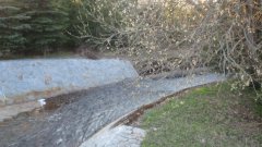 27_70_1302247693_727120_max