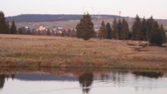 27_80_1302247694_437562_max