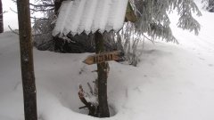 26_10_1298911409_879449_max