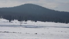 26_150_1298911476_812290_max