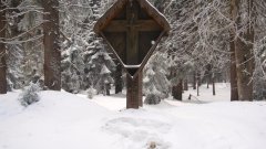 26_20_1298911410_800629_max