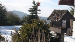 26_50_1298911413_719591_max