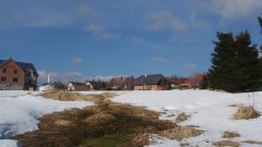 26_80_1298911417_148453_max