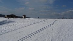 26_90_1298911417_974392_max