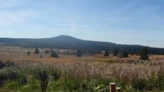 17_20_1288709140_999720_max