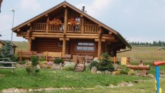 17_50_1288709314_469695_max