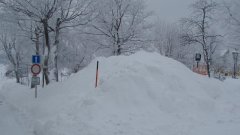 23_10_1295711330_560247_max