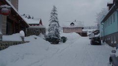 23_30_1295711332_269495_max