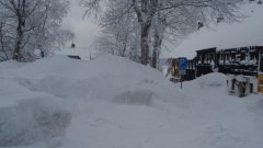 23_50_1295711336_519413_max