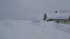 23_70_1295711338_444253_max