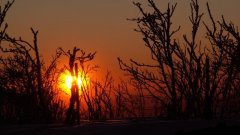 20_30_1295691155_321800_max