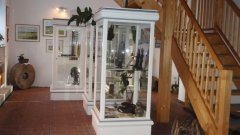 21_10_1295707083_843706_max