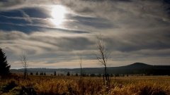 39_20_1320566771_594538_max