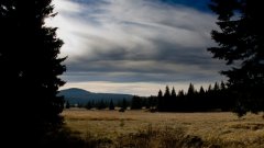 39_30_1320566772_157702_max