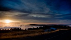 39_60_1320566809_808150_max