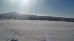 45_10_1385454314_181091_max