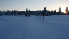 45_110_1385454491_208267_max