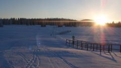 45_120_1385454491_422448_max