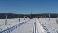 45_130_1385454491_636435_max