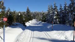 45_140_1385454491_855673_max