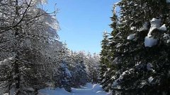 45_150_1385454492_787400_max