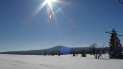 45_160_1385454492_297401_max