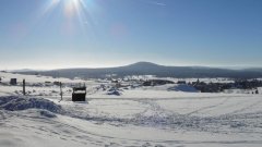 45_180_1385454492_730667_max