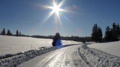 45_190_1385454492_948090_max