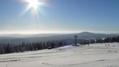 45_200_1385454493_166690_max