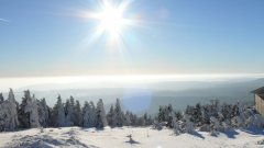 45_220_1385454537_970469_max