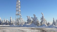 45_230_1385454538_188383_max