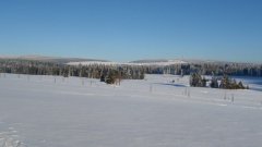 45_30_1385454314_622196_max