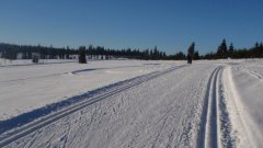 45_40_1385454314_833242_max