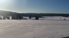 45_50_1385454315_541800_max