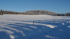 45_70_1385454315_495764_max